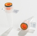 4TI-0791 0.2ml Dual-Cap PCR Tube, clear PP, attached flip cap with orange screw cap, 2D code and human readable number on tab, for sample collection ( 500 tubes/pkg )